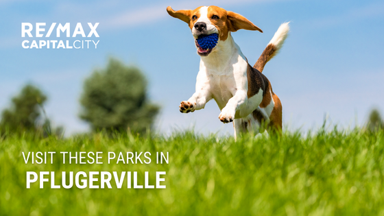 Parks Pflugerville